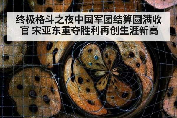 终极格斗之夜中国军团结算圆满收官 宋亚东重夺胜利再创生涯新高